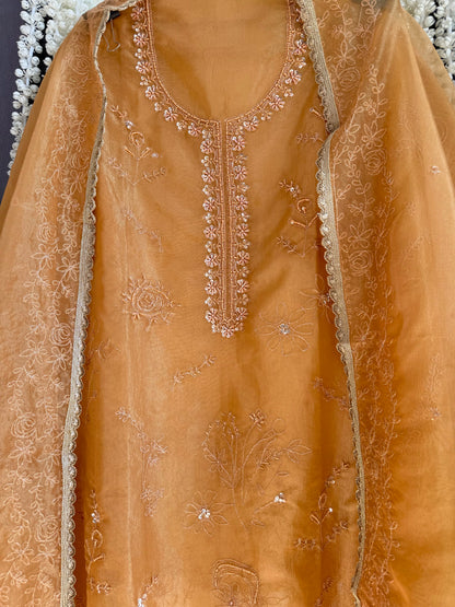 Premium tissue organza aari embroidered suit
