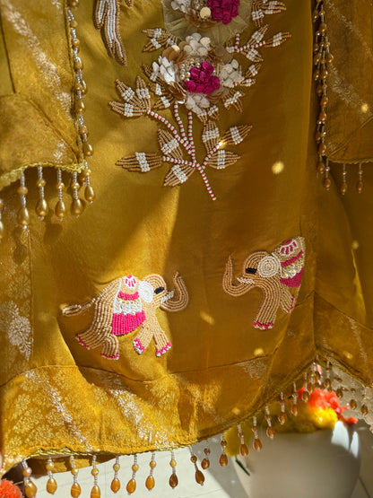 Luxurious elephants Handwork suit