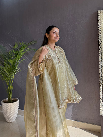 Luxurious Handwork Sitara anarkali set